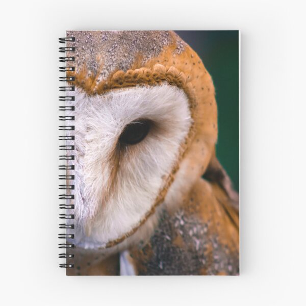 Item preview, owl's gaze designed and sold by Ignacio ramos.