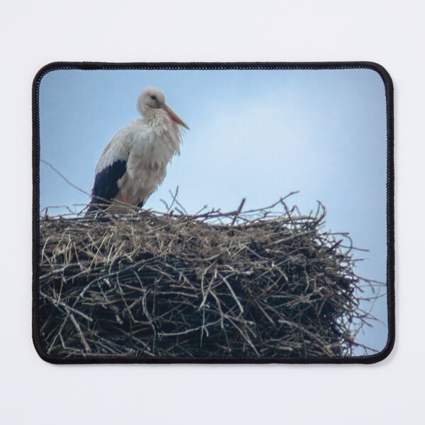 Item preview, Stork in the nest designed and sold by YarekPhoto.