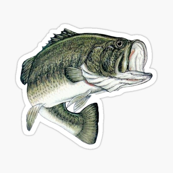 Item preview, Largemouth Bass designed and sold by PMake.