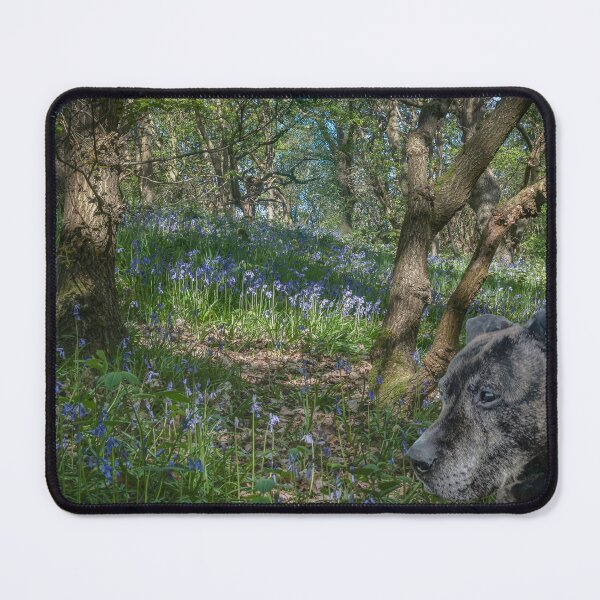 Item preview, Staffie in the bluebells designed and sold by 1icreations.