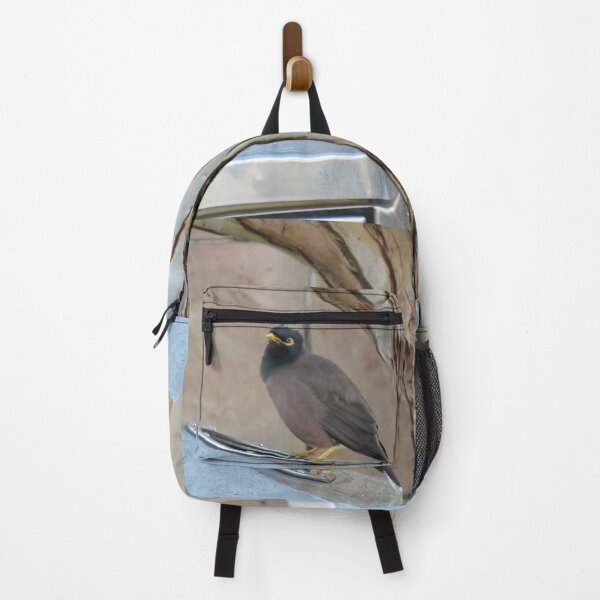 Item preview, An Indian myna on a bin designed and sold by greentiger1.