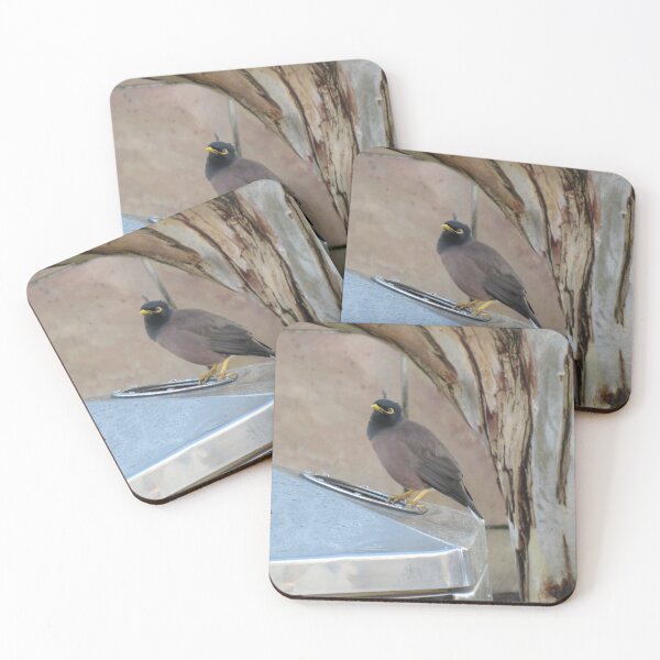 Item preview, An Indian myna on a bin designed and sold by greentiger1.