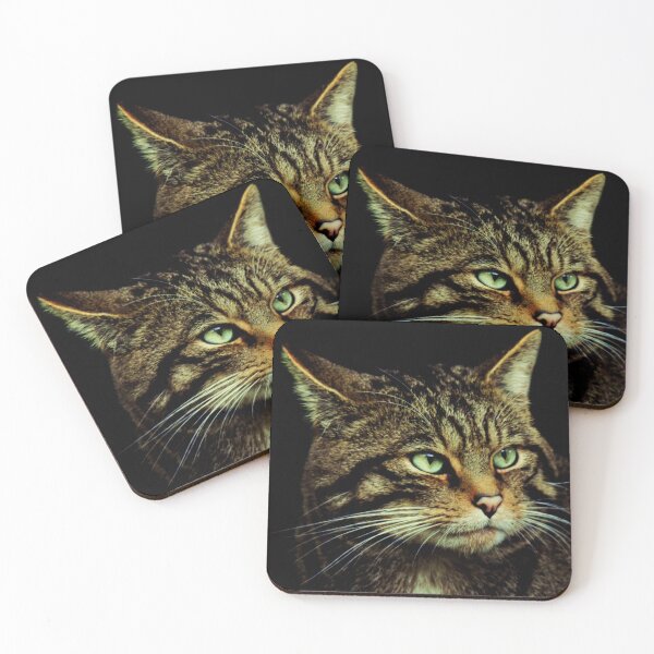 Item preview, Scottish Wildcat face close up designed and sold by ljm000.