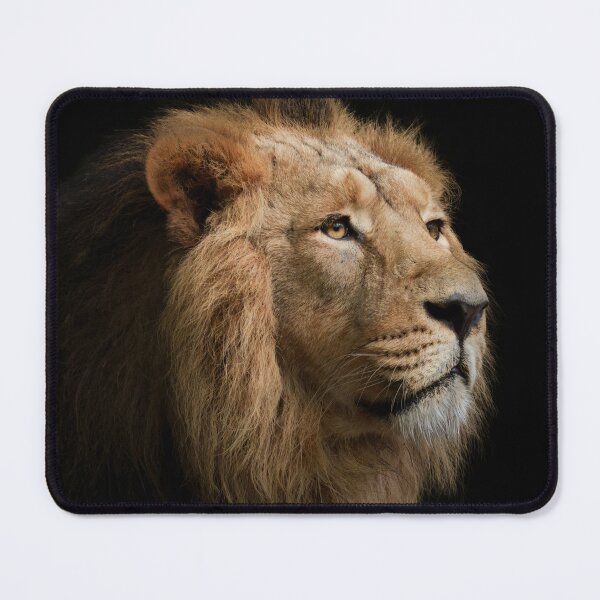 Item preview, Powerful Lion Portrait with Dark Background designed and sold by rawshutterbug.