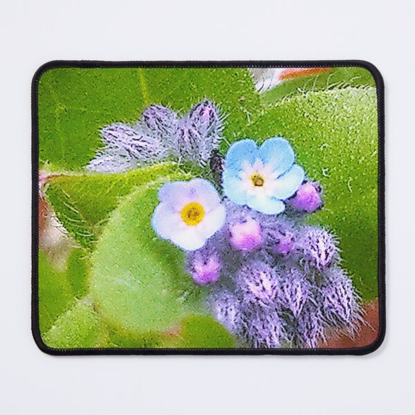 Item preview, Blue blosom designed and sold by Academic Art Studio.