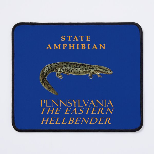 Item preview, Pennsylvania Territory Amphibian The Eastern hellbender designed and sold by taiche.