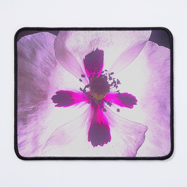Item preview, Violet light designed and sold by Academic Art Studio.