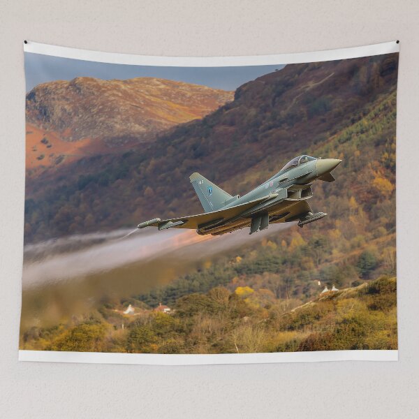 Item preview, RAF Eurofighter Typhoon designed and sold by Skyframe Aviation.