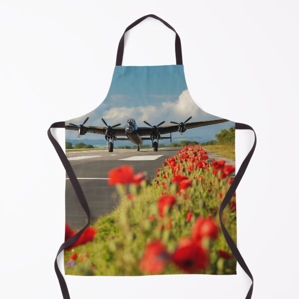 Item preview, Lancaster Poppy Takeoff designed and sold by Skyframe Aviation.