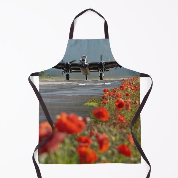 Item preview, Lancaster Poppy Takeoff designed and sold by Skyframe Aviation.