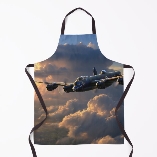Item preview, Dambusters designed and sold by Skyframe Aviation.