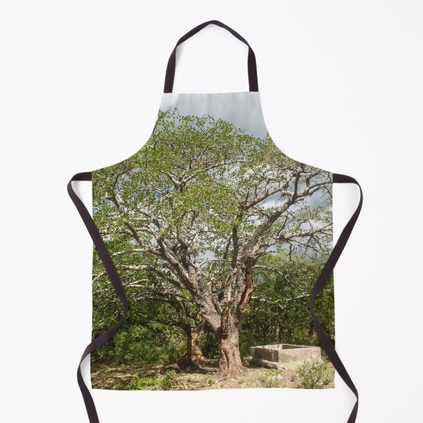 Item preview, mulungu tree in brazil designed and sold by felipequeiroz.