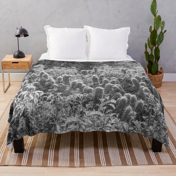 Item preview, some cacti in nature 3 designed and sold by felipequeiroz.