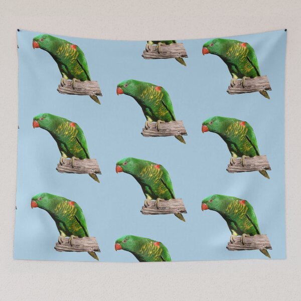 Item preview, Lorikeet 2 designed and sold by quentinjlang.