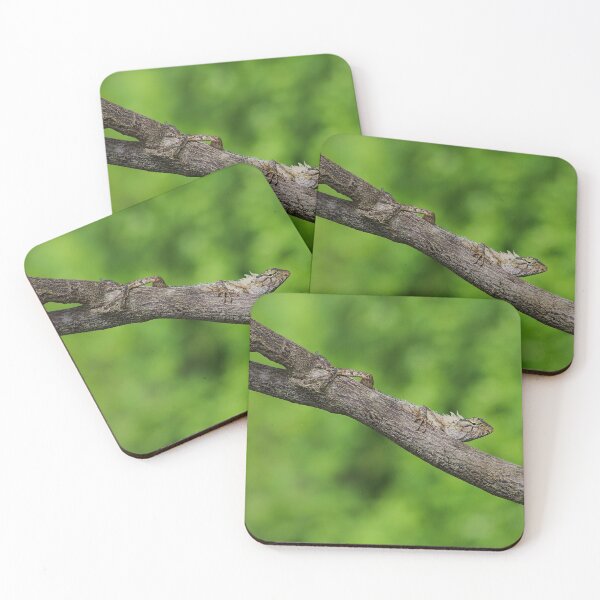 Item preview, A Master of Disguise designed and sold by AspenEyesPhotography.