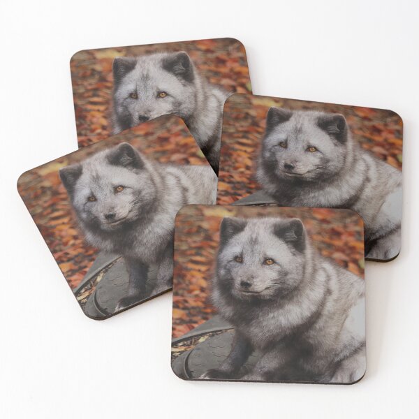 Item preview, Autumn Eyes designed and sold by AspenEyesPhotography.