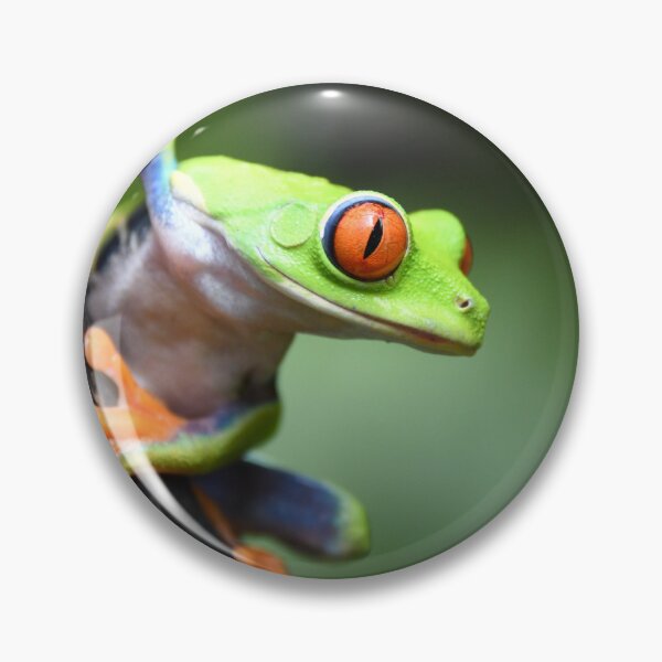 Item preview, Life in the rainforest designed and sold by NanaPhoto07.