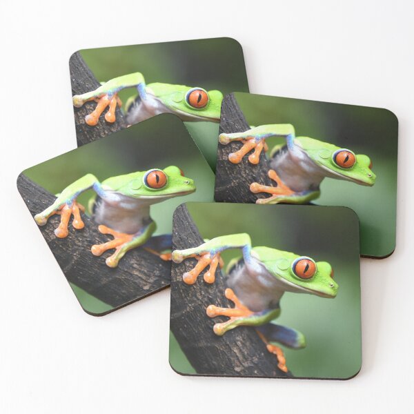 Item preview, Life in the rainforest designed and sold by NanaPhoto07.