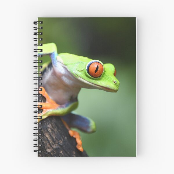 Item preview, Life in the rainforest designed and sold by NanaPhoto07.