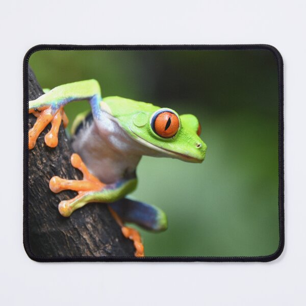 Item preview, Life in the rainforest designed and sold by NanaPhoto07.