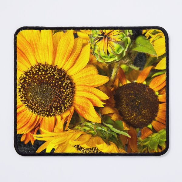 Item preview, Sunflower Medley designed and sold by Susan Werby.