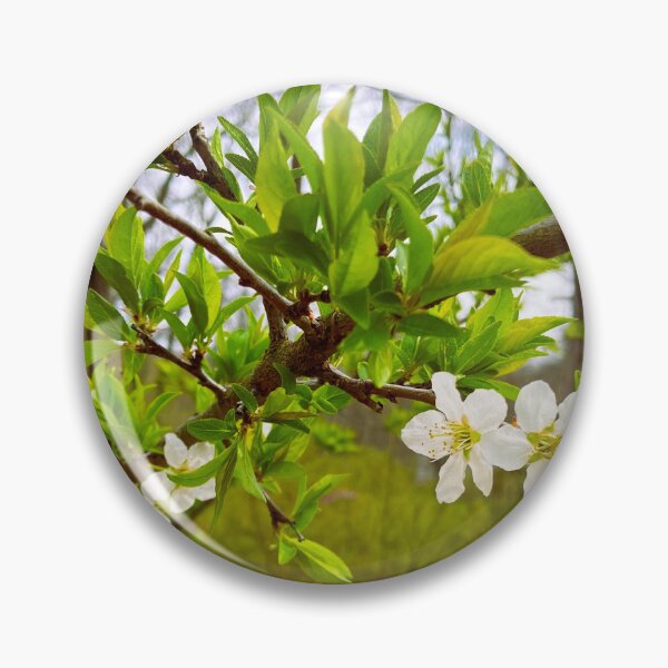 Item preview, Plum blossoms to Welcome Spring designed and sold by ArtsNataliia.