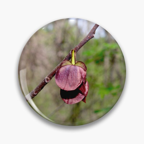 Item preview, Pawpaw flower  designed and sold by McFleur's Lens.