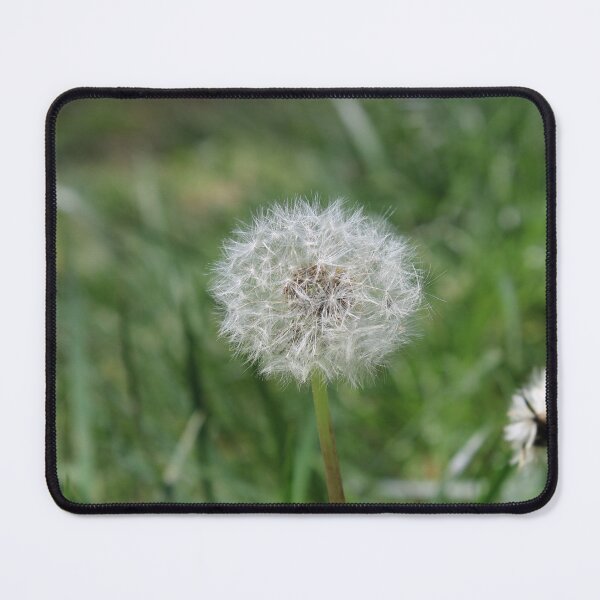Item preview, Seeding Dandelion designed and sold by McFleur's Lens.