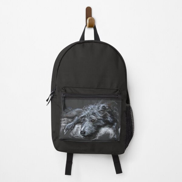 Bendlington whippet lurcher Willow, resting in Pastel. Backpack