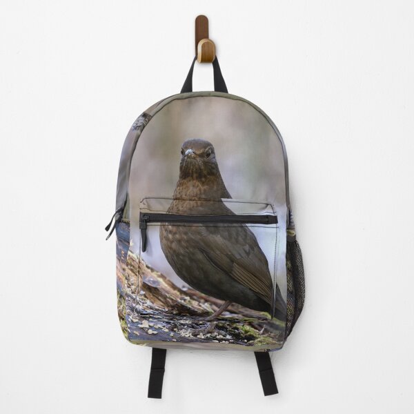 Item preview, Awake. Eurasian blackbird designed and sold by Jouko Lehto Photography.
