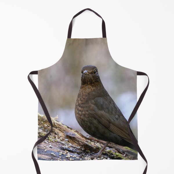 Item preview, Awake. Eurasian blackbird designed and sold by Jouko Lehto Photography.