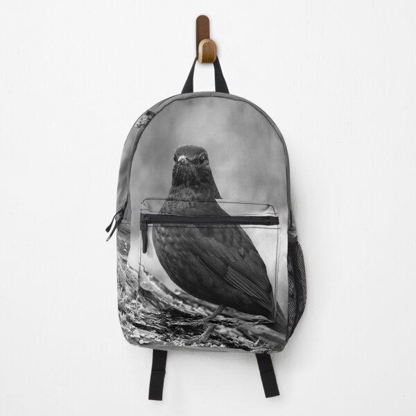 Item preview, Awake. Eurasian blackbird bw designed and sold by Jouko Lehto Photography.