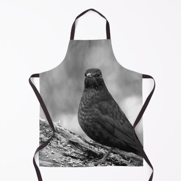 Item preview, Awake. Eurasian blackbird bw designed and sold by Jouko Lehto Photography.