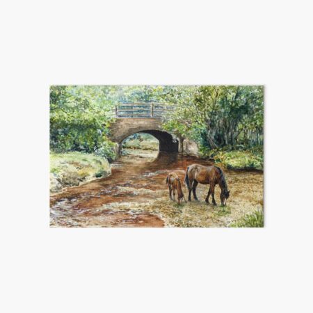 Wootton Bridge Art Board Print
