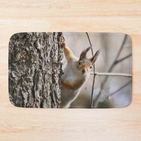 Item preview, Tsau. Red squirrel designed and sold by Jouko Lehto Photography.