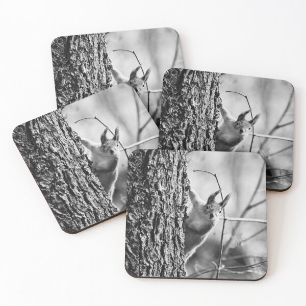 Item preview, Tsau. Red squirrel bw designed and sold by Jouko Lehto Photography.