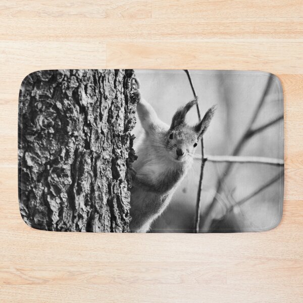 Item preview, Tsau. Red squirrel bw designed and sold by Jouko Lehto Photography.