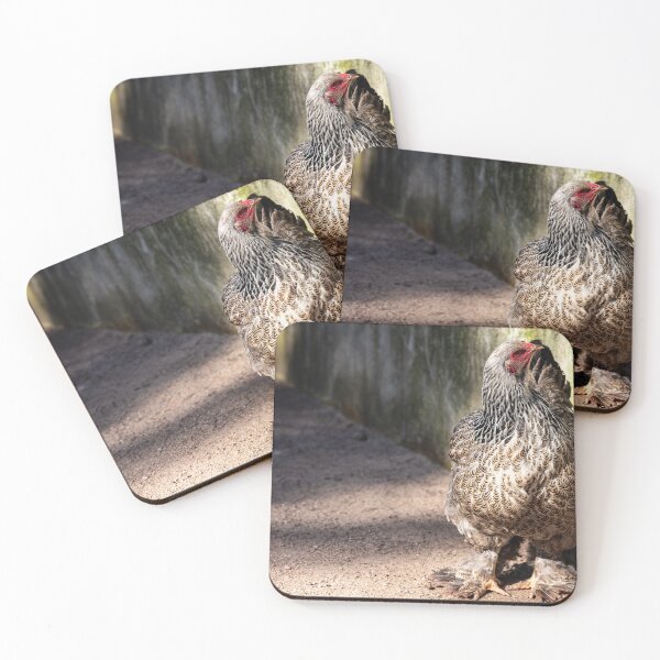 Item preview, Proud beauty – Brahma hen in the sunshine designed and sold by Pepe2024.