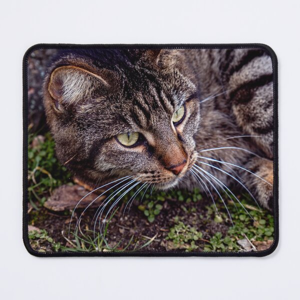 Item preview, Gentle guard – tabby cat in the green designed and sold by Pepe2024.