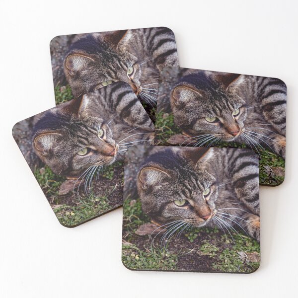 Item preview, Gentle guard – tabby cat in the green designed and sold by Pepe2024.