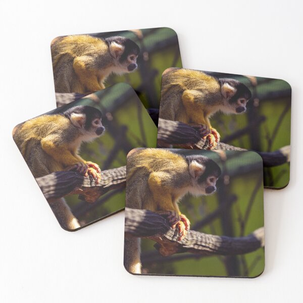 Item preview, Concentration in the branches – squirrel monkeys on observation post designed and sold by Pepe2024.
