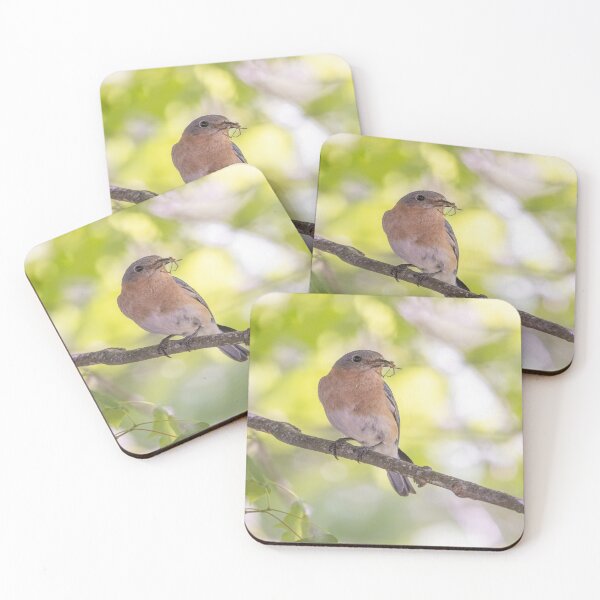 Item preview, Eastern Bluebird with breakfast designed and sold by BirdsnStuff.