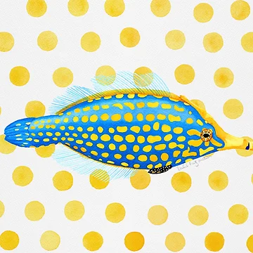 Artwork thumbnail, Harlequin Filefish by Rachel Fritz Watson