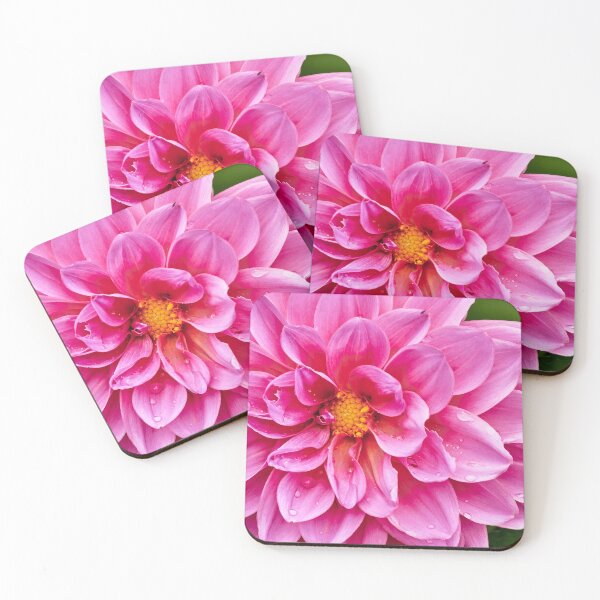 Item preview, Dahlia Takeover designed and sold by Eidetic Photos.