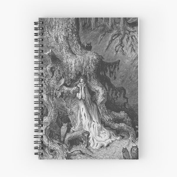 Item preview, Les Aventures du chevalier Jaufre et de la belle Brunissende designed and sold by Craphe.