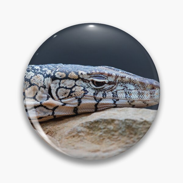Item preview, Parentie Lizard Resting on Rock designed and sold by Aure50.