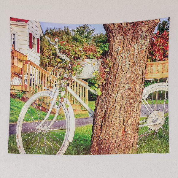 Item preview, Front yard bike and flowers designed and sold by Travelways.