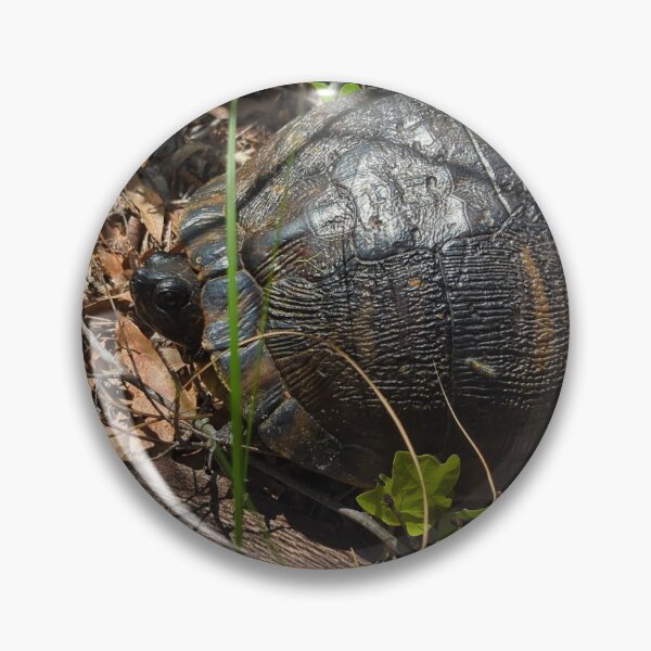 Item preview, turtle designed and sold by huntresskitty.