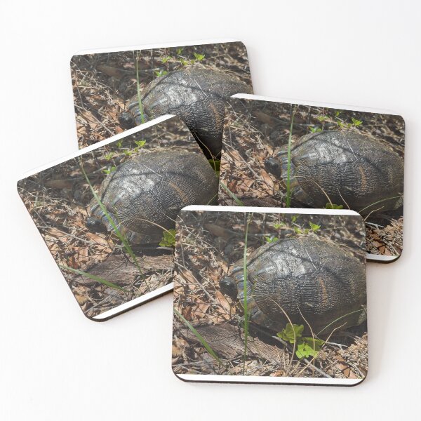 Item preview, turtle designed and sold by huntresskitty.