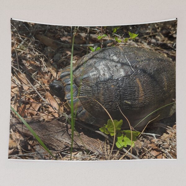 Item preview, turtle designed and sold by huntresskitty.